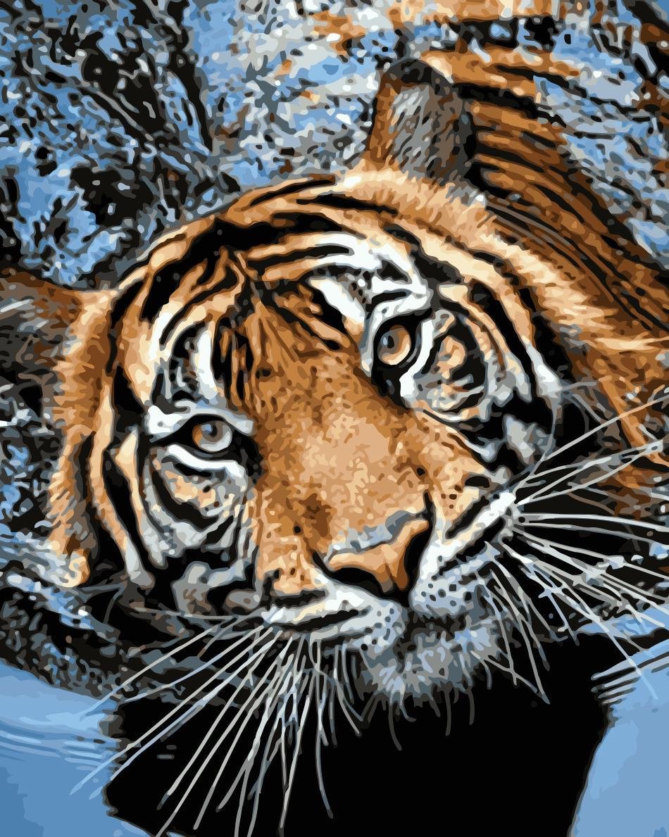 Animal Tiger Paint By Numbers Kits UK For Adult HQD1240