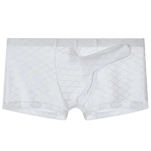 Men's ultra-thin mesh elephant trunk transparent sexy boxers