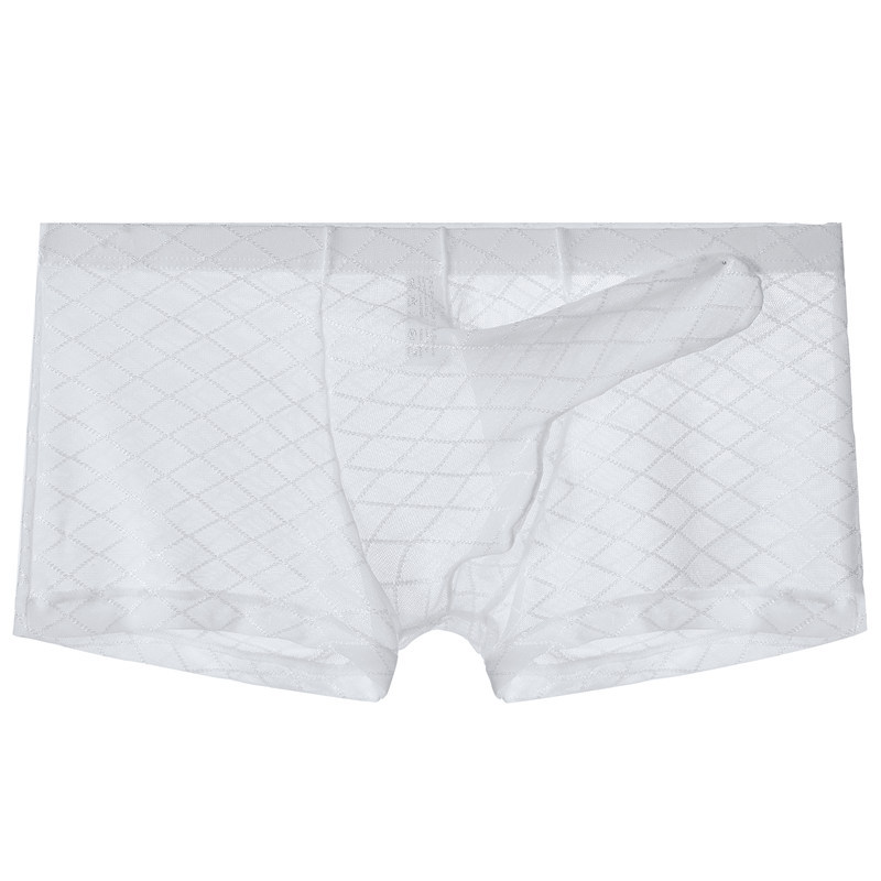 Men's ultra-thin mesh elephant trunk transparent sexy boxers