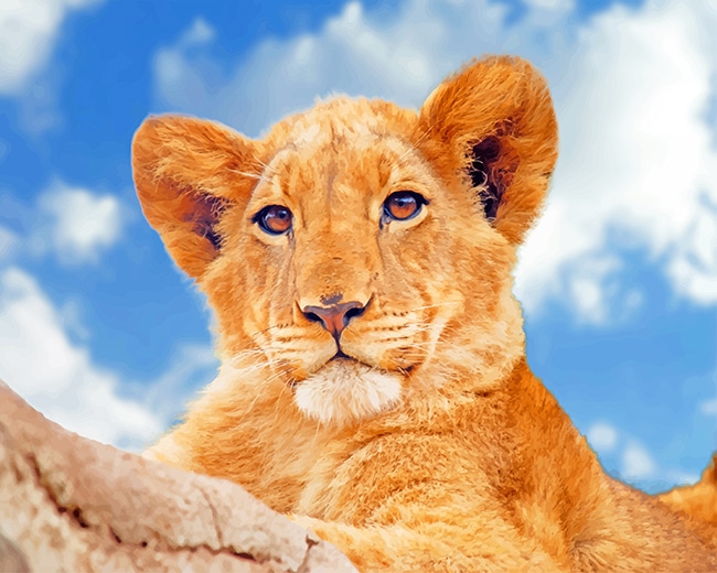 

Lioness Under Blue Sky – Paint By Numbers - 40*50CM, 501 Original