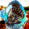Insect Amber Pendant Natural Butterfly Specimen Insect Amber Necklace Children's Hanging Accessories