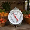 Fish Scales with 2 Hooks Mechanical Pointer Hook Scale Practical Handheld Scale