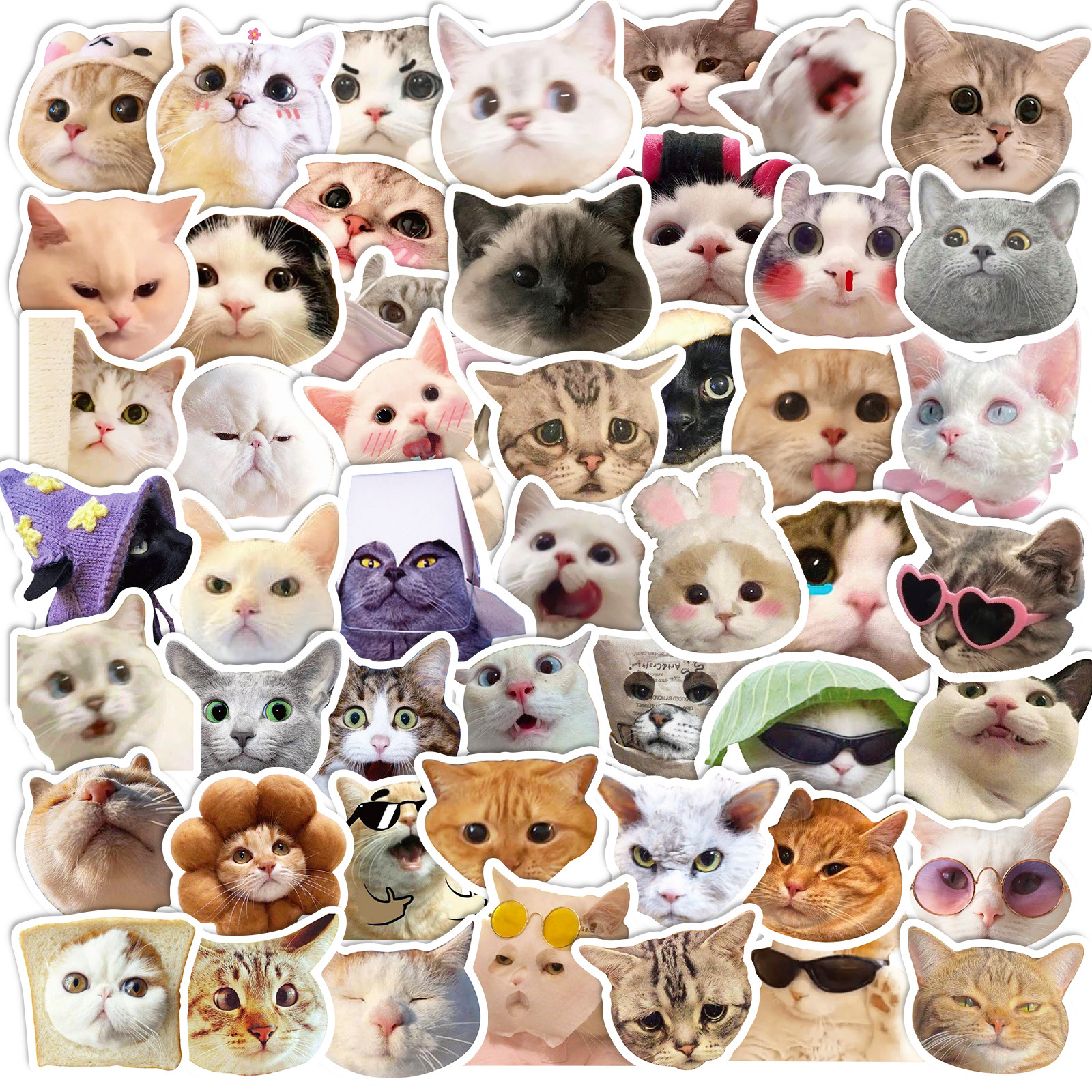 Chic Feline Frenzy: 50 Cat Stickers - Viral Kitty Expressions & Graffiti Decals