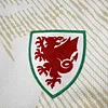 2026 Wales Away Football Shirt 1:1 Thai Quality