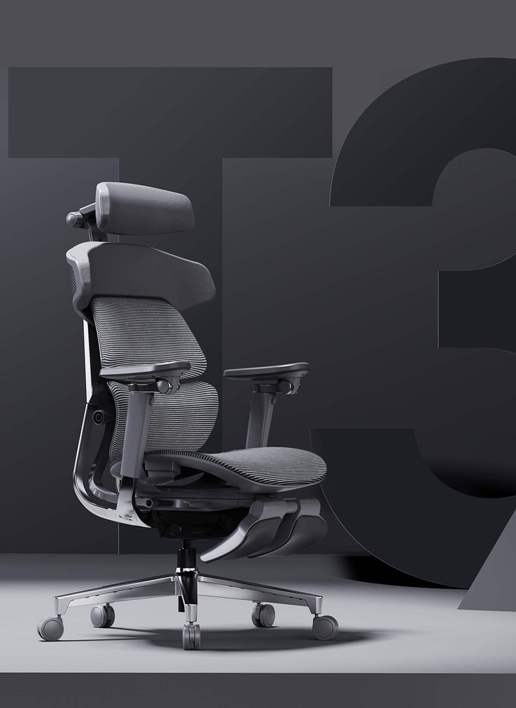 ToZient Ergonomic Office Chair,Adjustable Mechanism, Mesh Back and Seat  Support