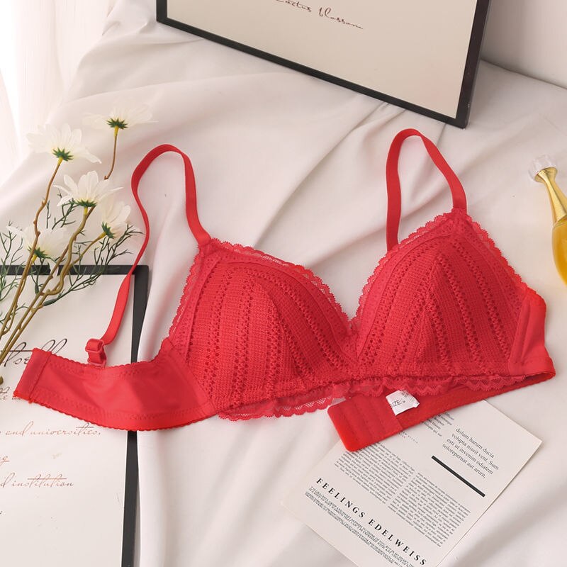 Alccn Women's Bra Lace Bras New Underwear Bras for Women Brassiere Sexy Female Wireless Push Up Bra Backless Bralette Lingerie Tops