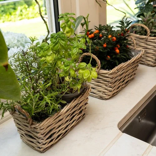 Set of Three Wicker Baskets with Liners & Handles