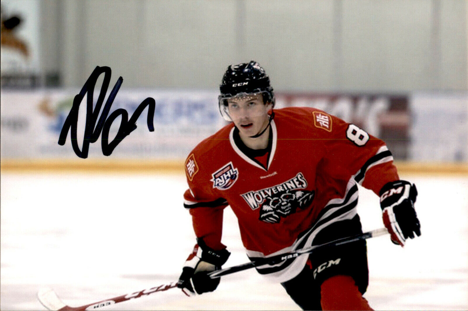 Taden Rattie SIGNED 4x6 Photo Poster painting RED DEER REBELS / WHITECOURT WOLVERINES