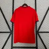 2010 Retro Spain Home Soccer Shirt 1:1 Thai Quality