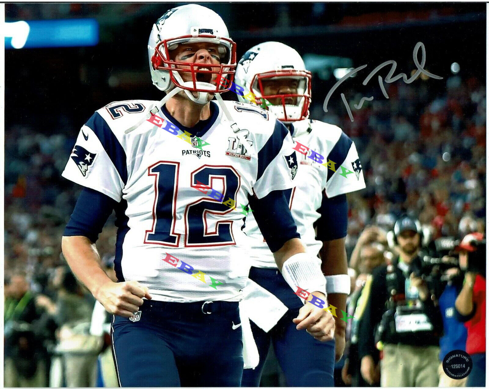 Tom Brady New England Patriots Signed Autographed 8x10 Photo Poster painting Reprint