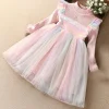 Spring Autumn Baby Kid Girl Princess Unicorn Dresses