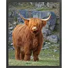 Highland Cow-11CT Stamped Cross Stitch 40*50cm tapestrymarket