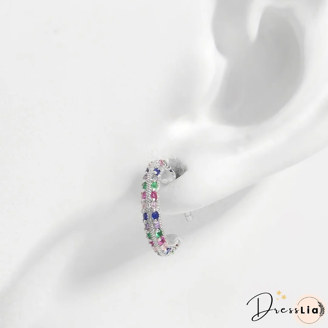 925 Sterling Silver Contrast Zircon Earrings