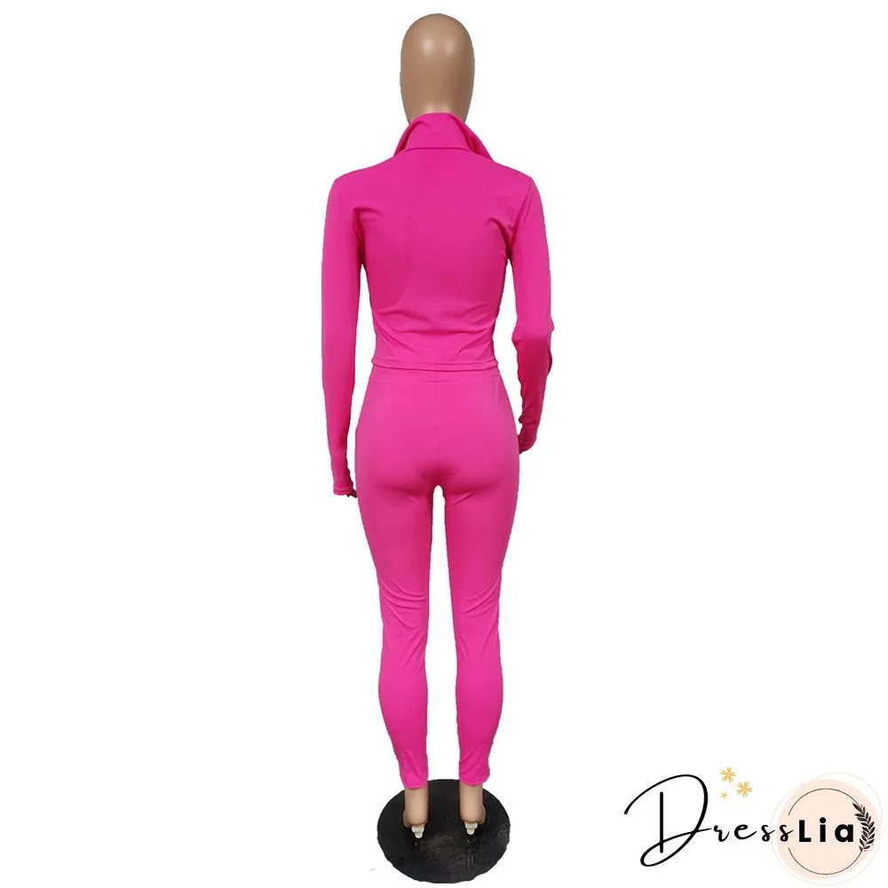 Sportswear Long Sleeve Jacket Pencil Pants Set