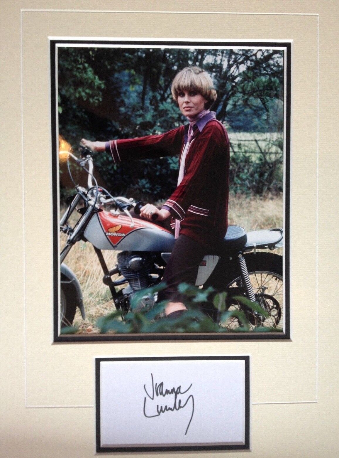 JOANNA LUMLEY - THE AVENGERS ACTRESS - BRILLIANT SIGNED COLOUR Photo Poster painting DISPLAY