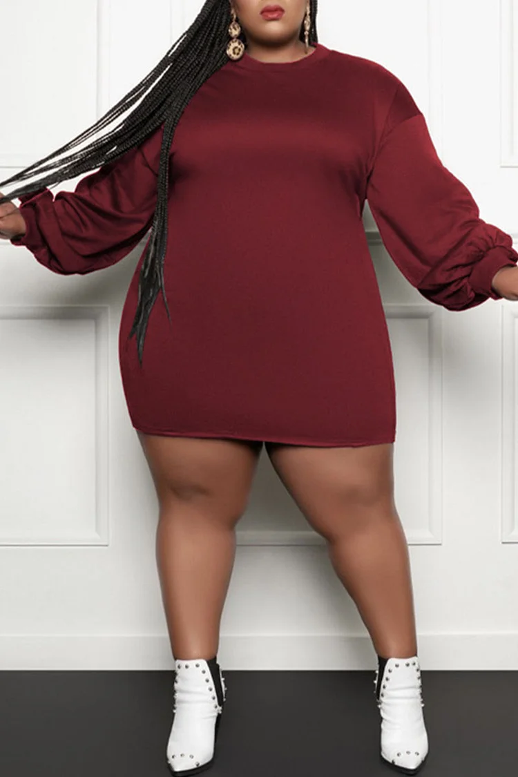 Burgundy Casual Solid Patchwork O Neck Straight Plus Size Dresses