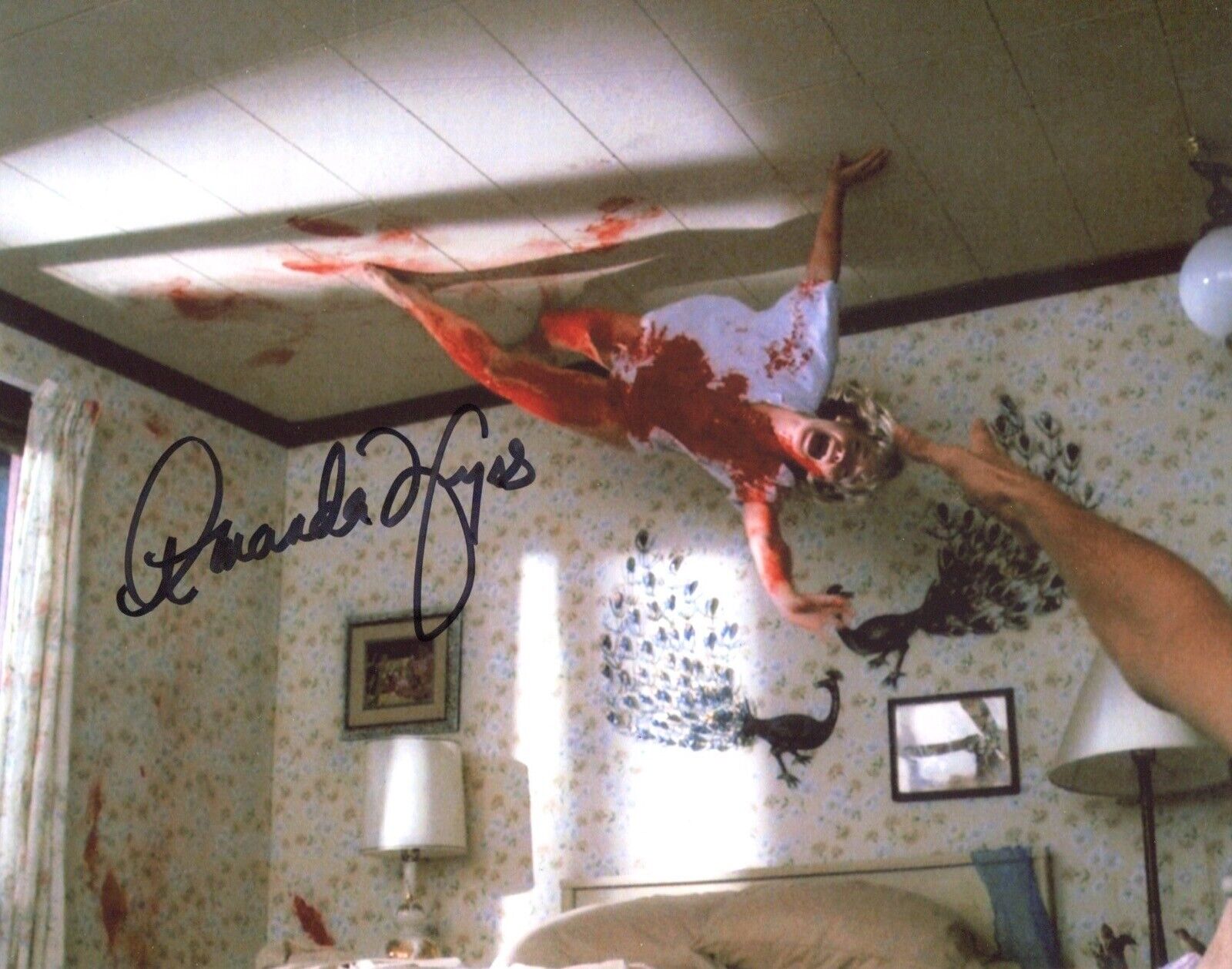 Amanda Wyss signed A NIGHTMARE ON ELM STREET horror movie 8x10 Photo Poster painting