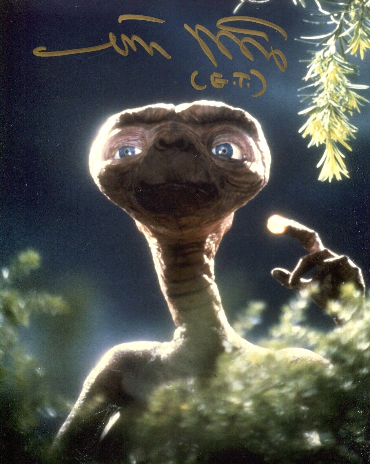 E.T The Extra Terrestrial movie Photo Poster painting signed by Matt De Meritt - UACC DEALER