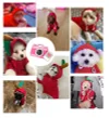 Pet Warm Dog Winter Clothes Cute Fruit Coat