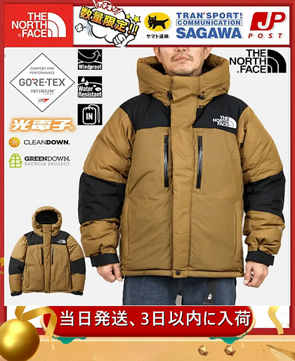 THE NORTH FACE