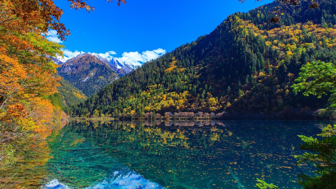 Autumn in Jiuzhaigou: The Ultimate Guide to China's Most Colorful Season