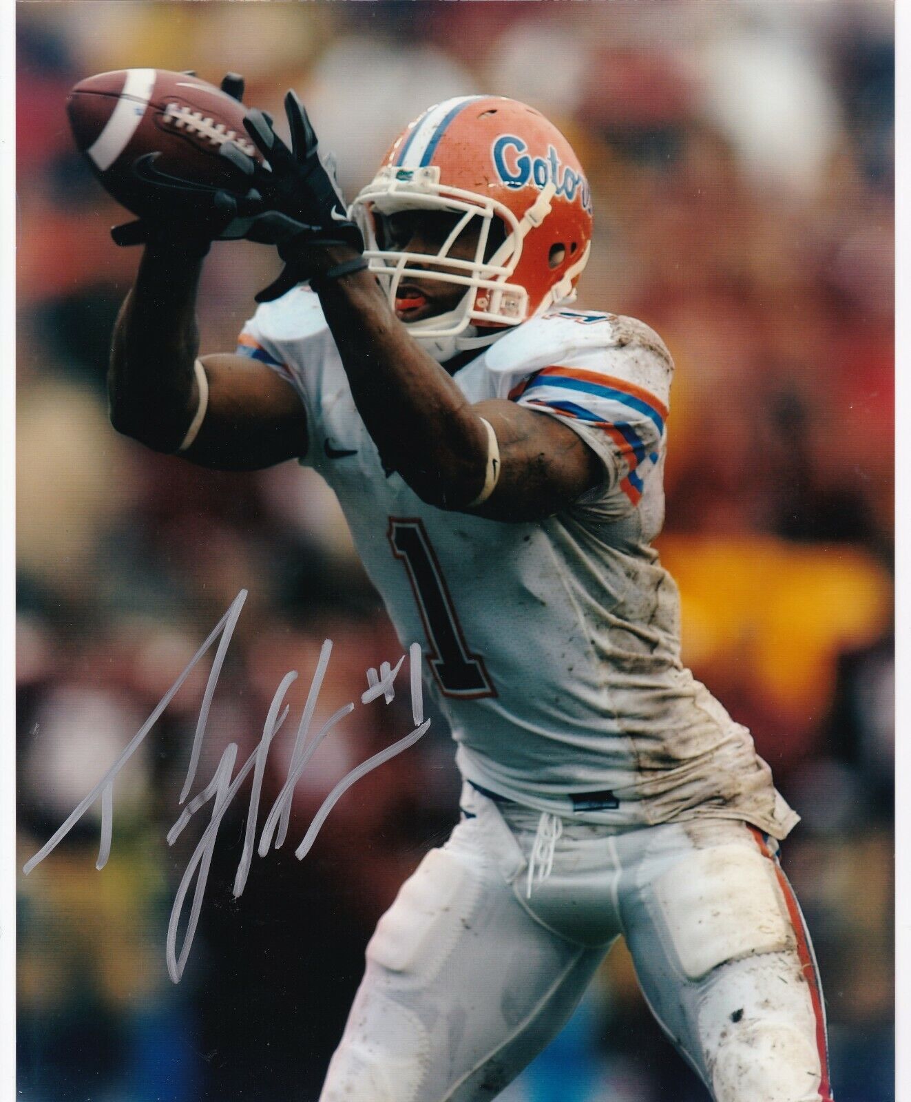 PERCY HARVIN FLORIDA GATORS ACTION SIGNED 8X10