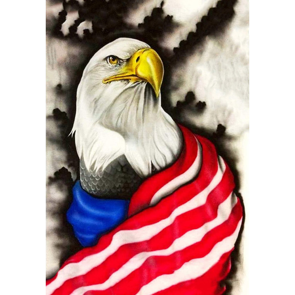 

30*40CM-Round Drill Diamond Painting-US Flag Eagle, 501 Original