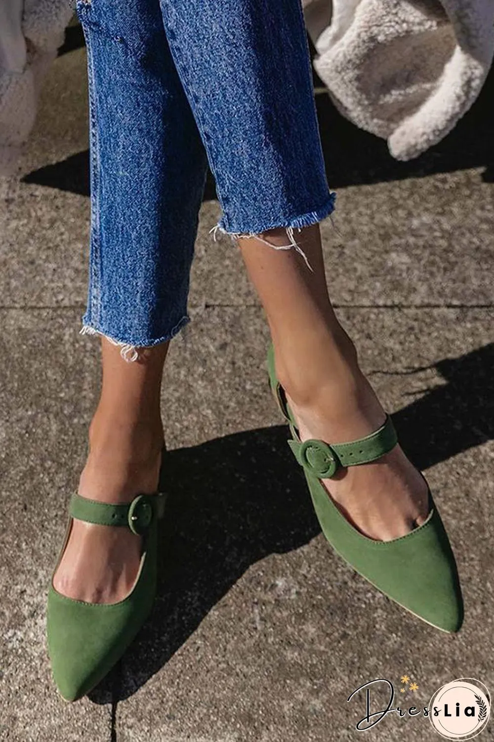 Pointed Toe Buckled Chunky Heels