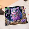 (Pre-Framed)Owl-Special Shape Diamond Painting Kit(25x25cm)
