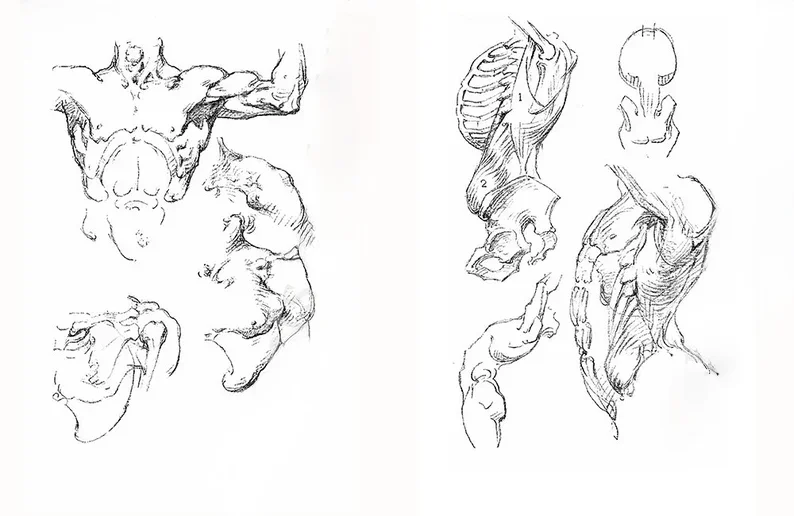 🎨Character Drawing Secrets+Character Drawing: The Dot Method Set | Korean with English(📚HARDCOVER BOOK)