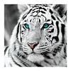 Tiger Head 5D DIY Full Drill Round Diamond Painting Embroidery Cross Stitch