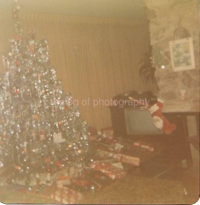 1970s Christmas Tree FOUND COLOR Photo Poster paintingGRAPH Original Snapshot VINTA 03 8 G