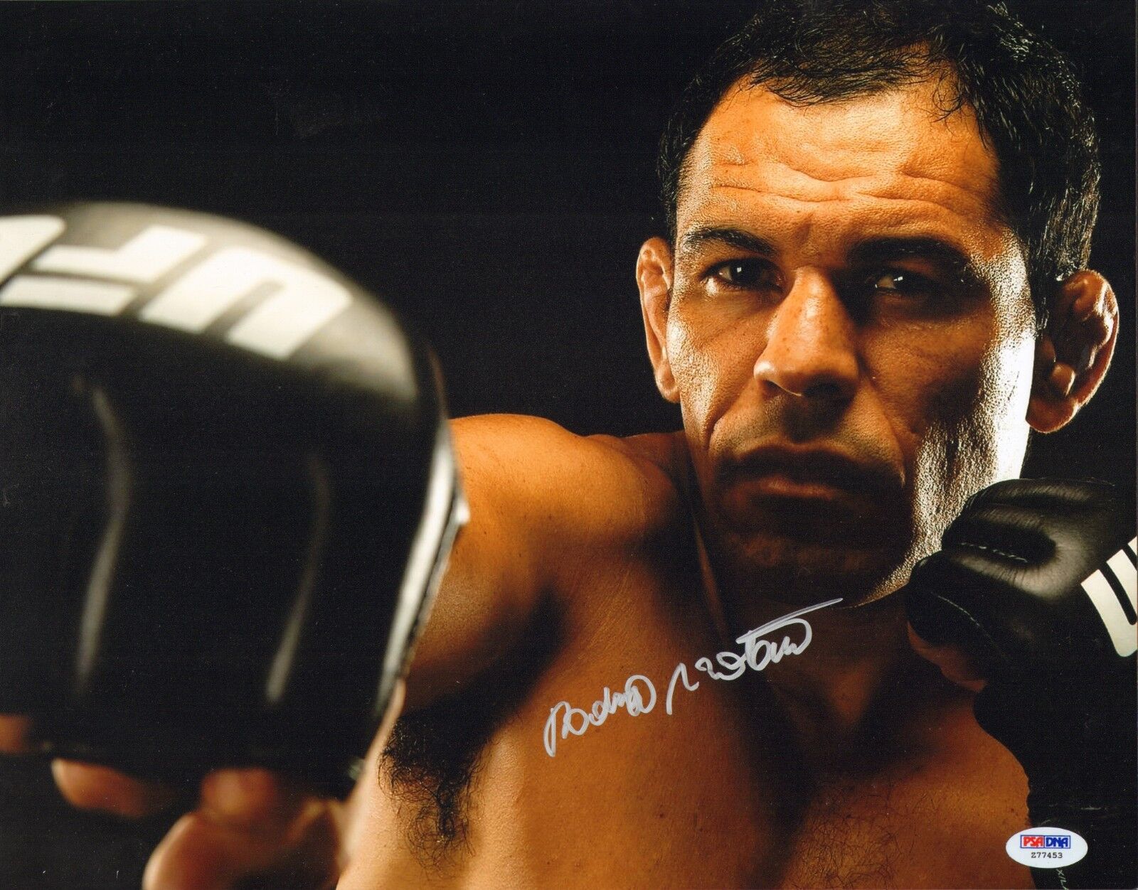 Antonio Rodrigo Nogueira Signed UFC 11x14 Photo Poster painting PSA/DNA COA Picture Autograph 4