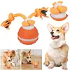 Interactive Dog Toys USB Rechargeable Active Rolling Ball for Puppy/Small Dogs