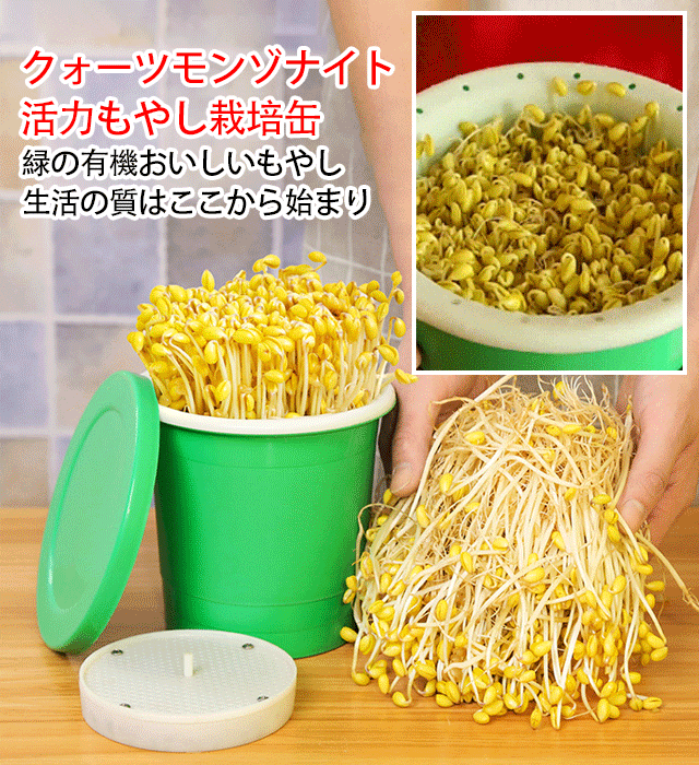 クォーツモンゾナイト活力もやし栽培缶