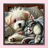 Dog Cat-11CT Stamped Cross Stitch 40*40cm/15.75*15.75in tapestrymarket