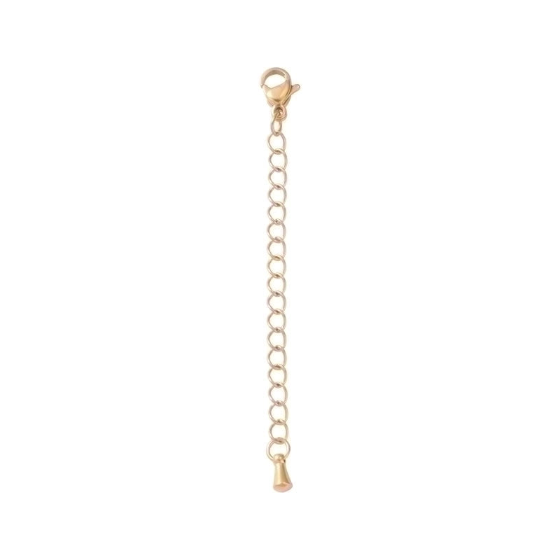 1 Piece Stainless Steel None 18K Gold Plated Solid Color Chain