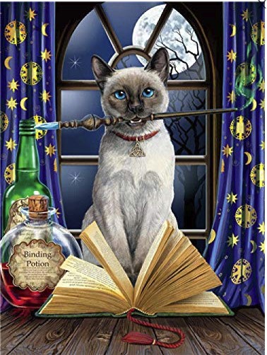 

Hocus Pocus Cat – Paint By Numbers - 40*50CM, 501 Original