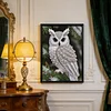 Owl-Special Shaped Diamond Painting