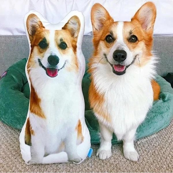 Personalized Pet Owner Gifts Custom Made Dog Pillow