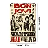 Bon Jovi - Metal Tin Signs(8*12Inch/12*16Inch)