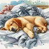 Sleeping Golden Retriever-11CT Stamped Cross Stitch 40*40cm tapestrymarket