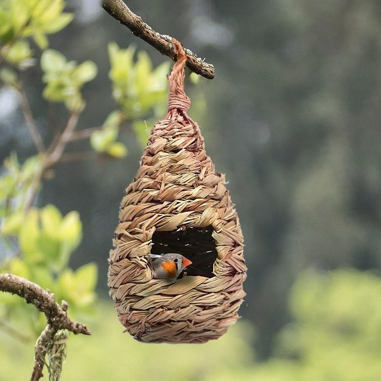 Handmade Winter Bird Nest
