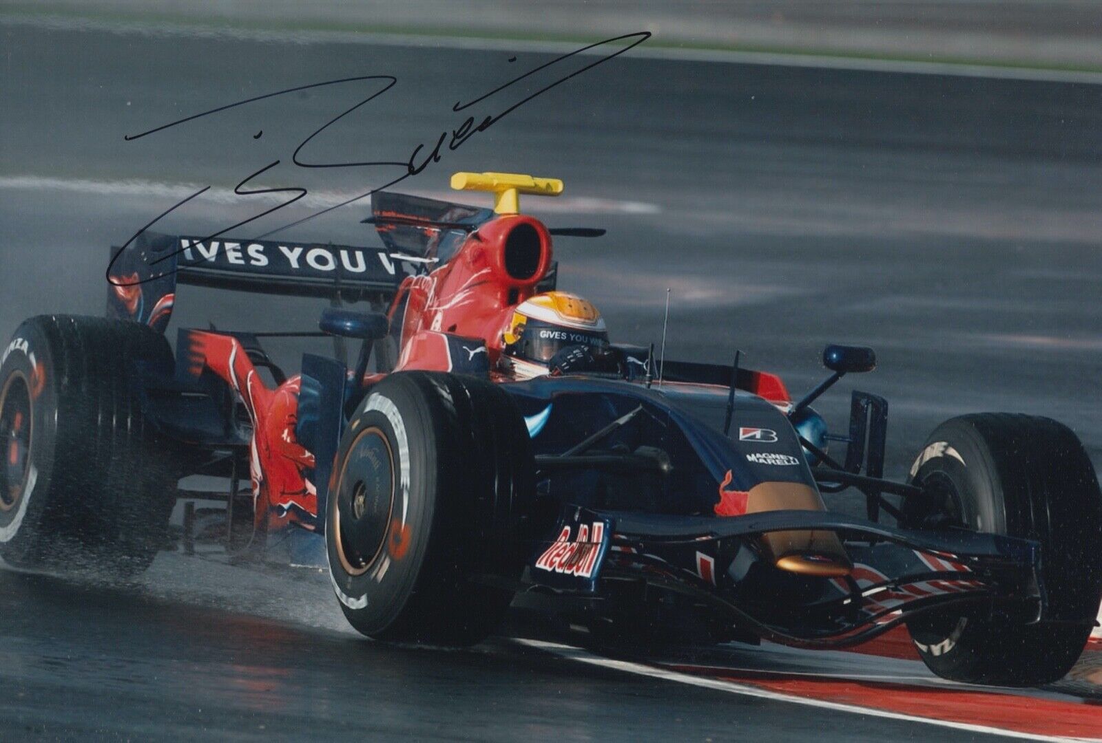 Sebastien Buemi Hand Signed 12x8 Photo Poster painting F1 Autograph Scuderia Toro Rosso 14