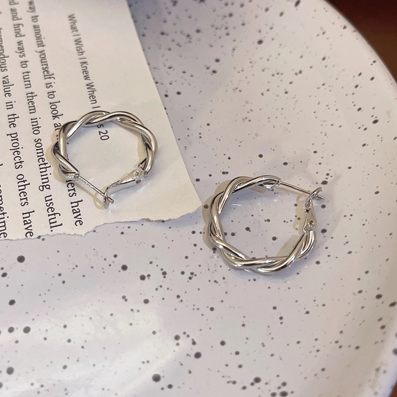 Silver Needle  Exaggerated Lovely Earrings Light Luxury High-grade Niche Earrings Fashion Metal Temperament Earrings For Women