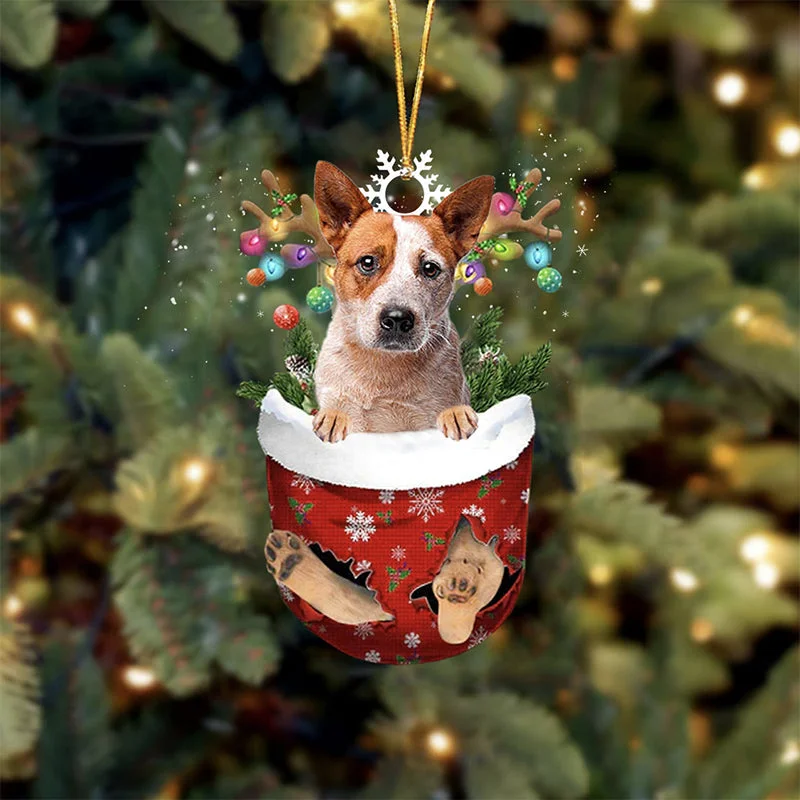 Red Heeler In Snow Pocket Christmas Ornament.