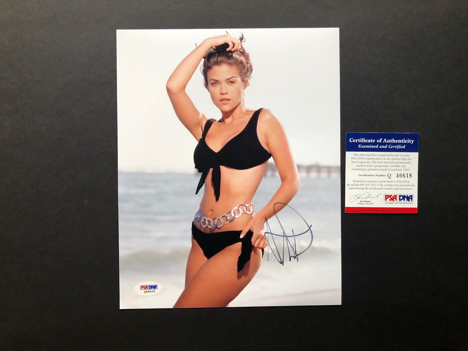 Susan Ward Sexy! signed autographed bikini 8x10 Photo Poster painting PSA/DNA coa cert