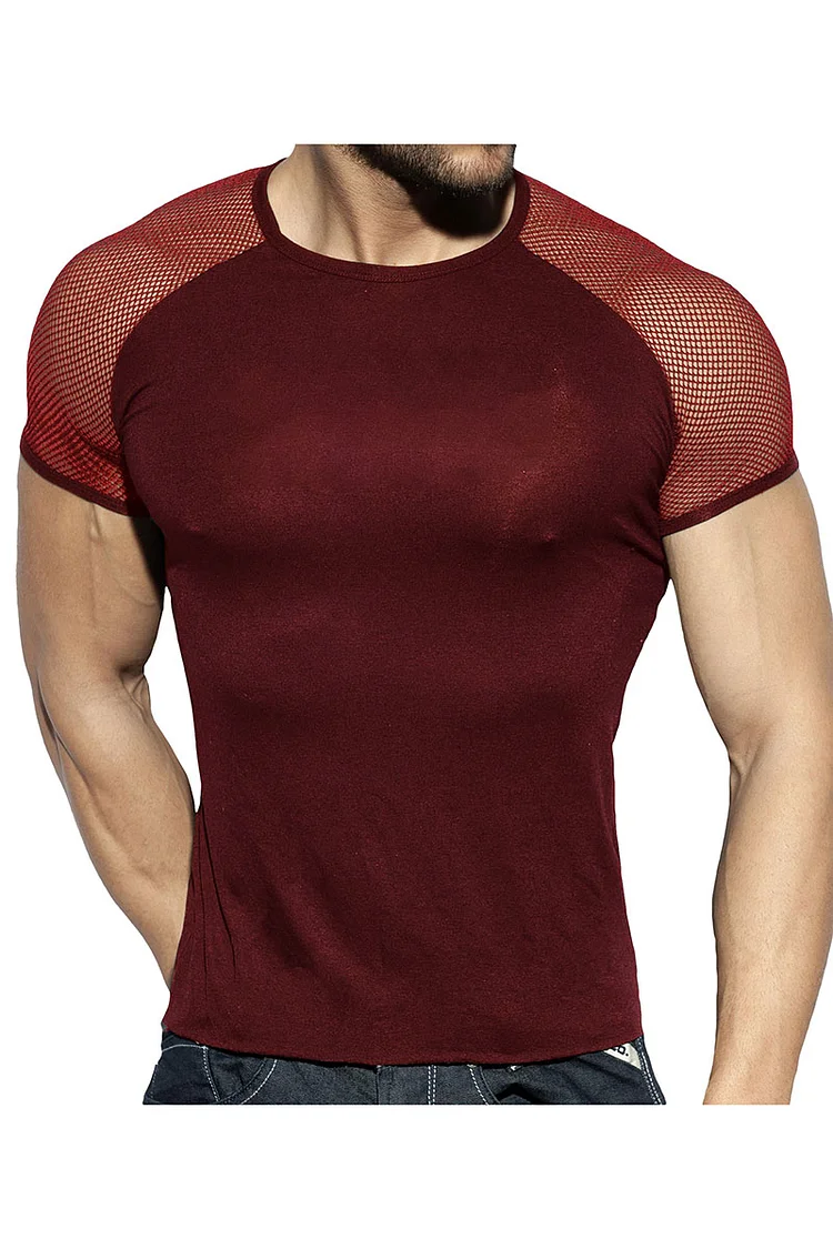 Ciciful Mesh See Through Patchwork Short Sleeve Round Neck T-Shirt