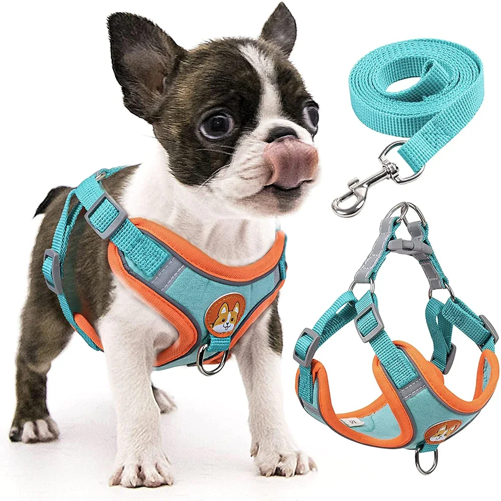 Reflective Step-In Dog Harness Set | Adjustable Soft Vest for Small to Medium Breeds with Leash