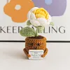 (Finished Product)Crochet Flower Potted Doll with Positive Card Desktop Ornaments, Potted Plants, Bouquets Gift Home Decor